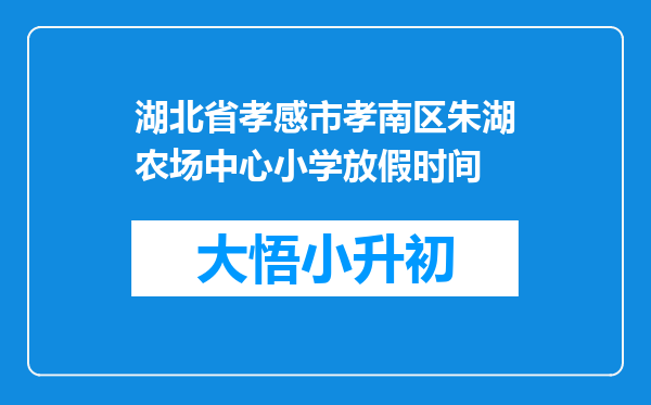 湖北省孝感市孝南区朱湖农场中心小学放假时间