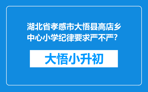 湖北省孝感市大悟县高店乡中心小学纪律要求严不严？