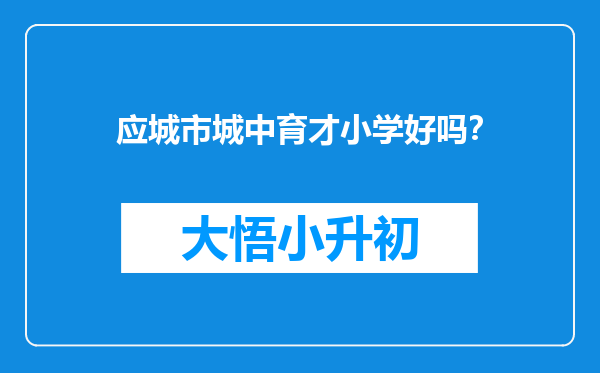 应城市城中育才小学好吗？