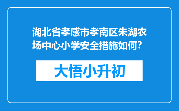 湖北省孝感市孝南区朱湖农场中心小学安全措施如何？