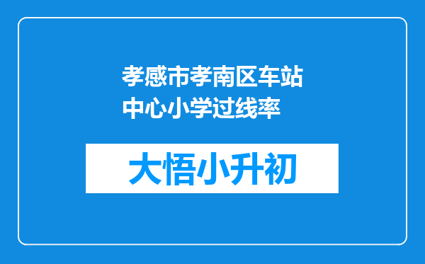 孝感市孝南区车站中心小学过线率