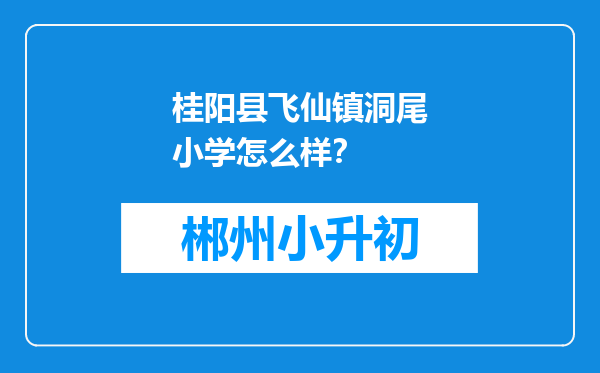 桂阳县飞仙镇洞尾小学怎么样？