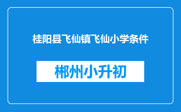 桂阳县飞仙镇飞仙小学条件