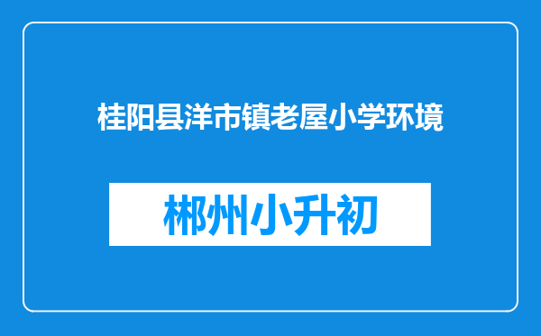 桂阳县洋市镇老屋小学环境