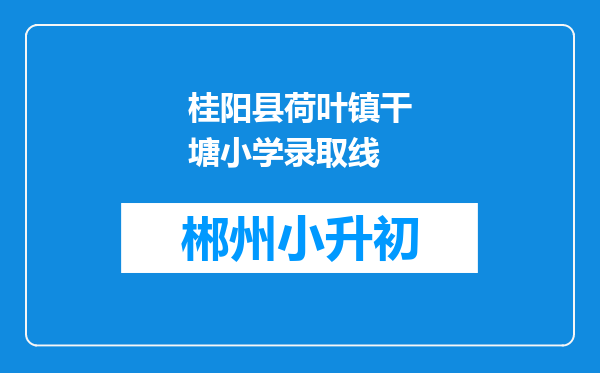 桂阳县荷叶镇干塘小学录取线