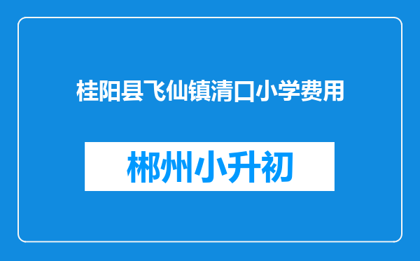 桂阳县飞仙镇清口小学费用