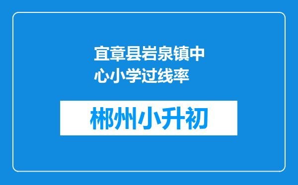 宜章县岩泉镇中心小学过线率