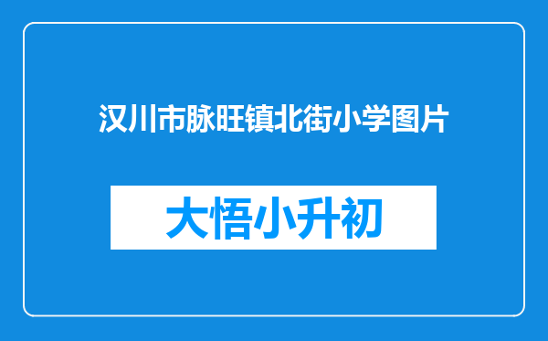 汉川市脉旺镇北街小学图片