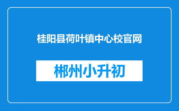 桂阳县荷叶镇中心校官网