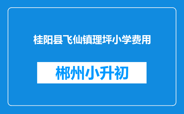 桂阳县飞仙镇理坪小学费用