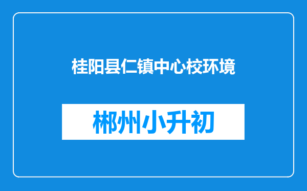 桂阳县仁镇中心校环境