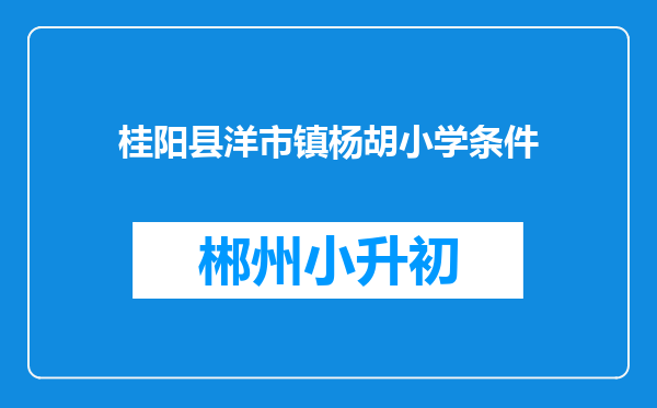 桂阳县洋市镇杨胡小学条件