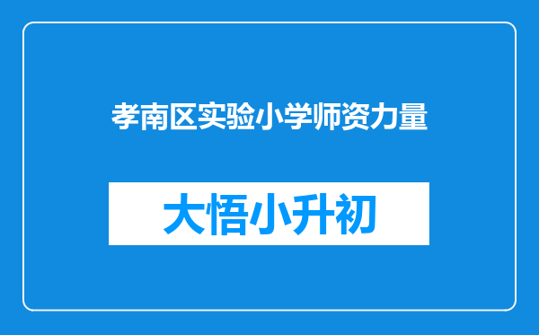 孝南区实验小学师资力量