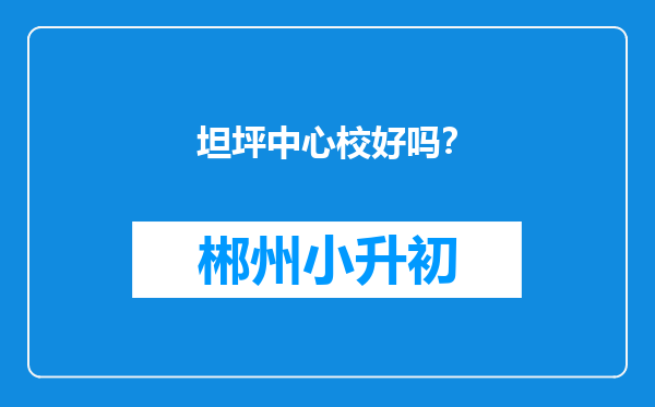 坦坪中心校好吗？