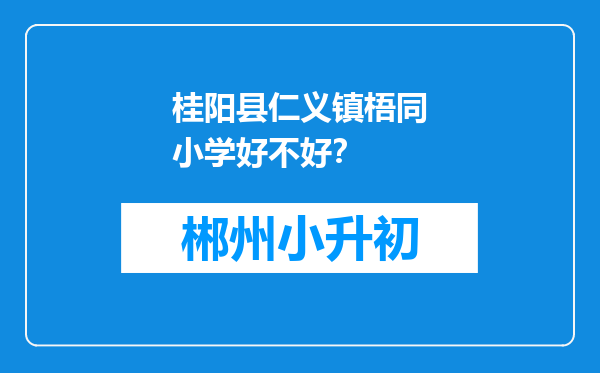 桂阳县仁义镇梧同小学好不好？