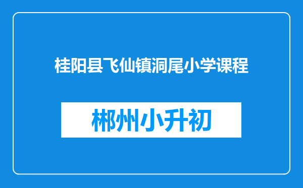 桂阳县飞仙镇洞尾小学课程