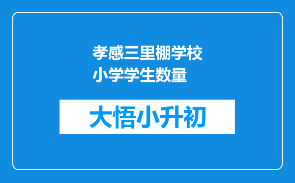 孝感三里棚学校小学学生数量