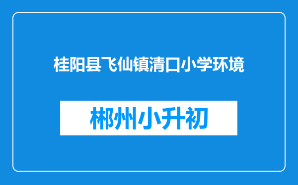 桂阳县飞仙镇清口小学环境