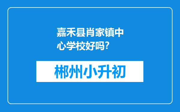 嘉禾县肖家镇中心学校好吗？