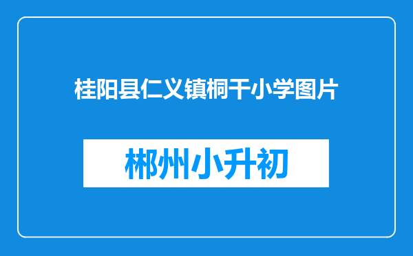 桂阳县仁义镇桐干小学图片