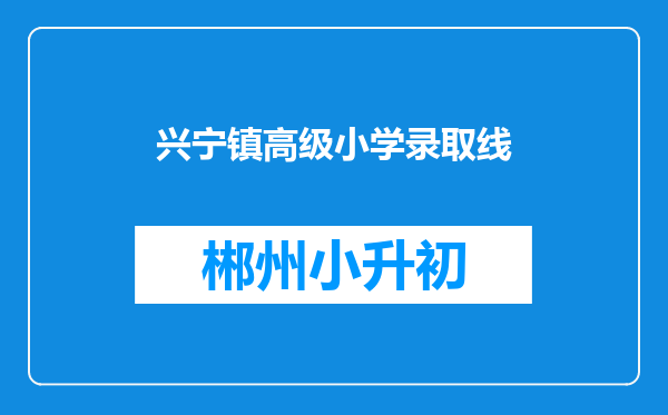 兴宁镇高级小学录取线