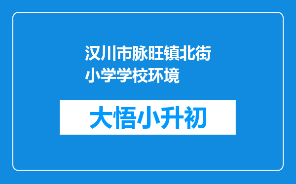 汉川市脉旺镇北街小学学校环境