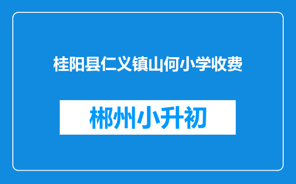 桂阳县仁义镇山何小学收费