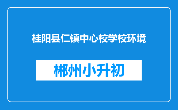 桂阳县仁镇中心校学校环境