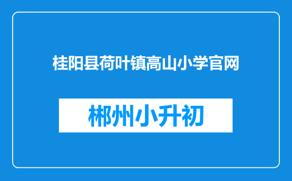 桂阳县荷叶镇高山小学官网