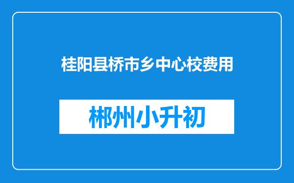 桂阳县桥市乡中心校费用