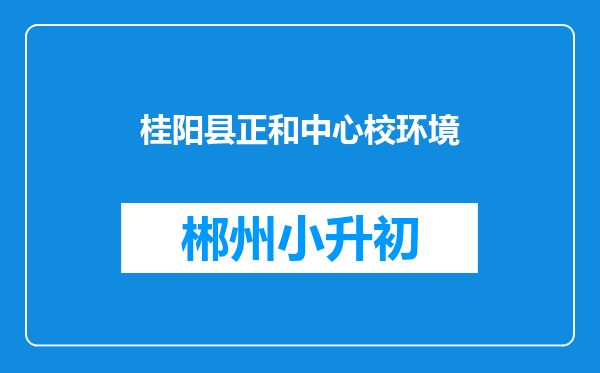 桂阳县正和中心校环境