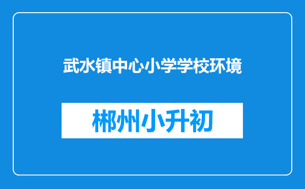 武水镇中心小学学校环境