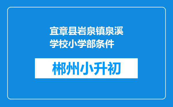 宜章县岩泉镇泉溪学校小学部条件