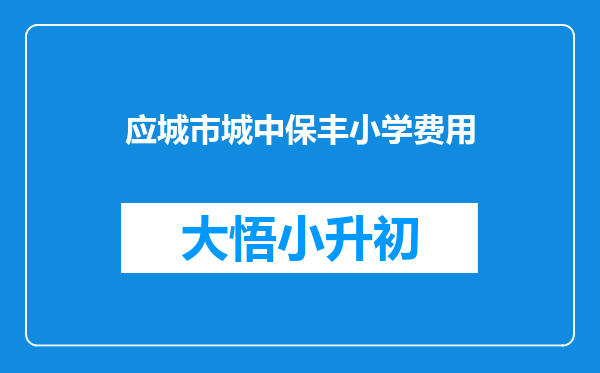 应城市城中保丰小学费用