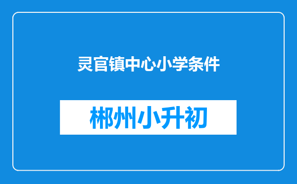 灵官镇中心小学条件