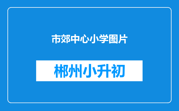 市郊中心小学图片