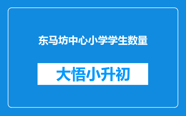 东马坊中心小学学生数量