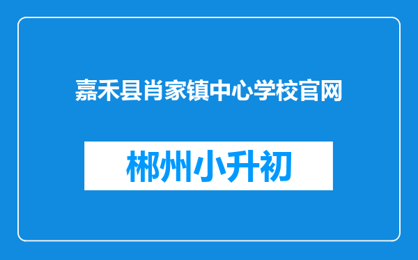 嘉禾县肖家镇中心学校官网