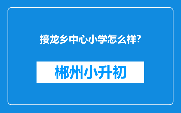 接龙乡中心小学怎么样？