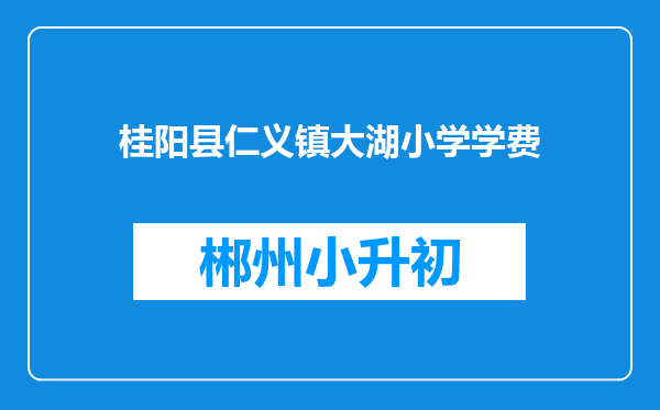 桂阳县仁义镇大湖小学学费