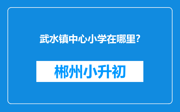 武水镇中心小学在哪里？