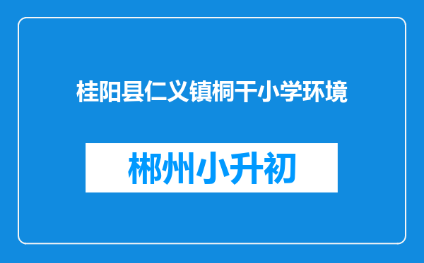 桂阳县仁义镇桐干小学环境