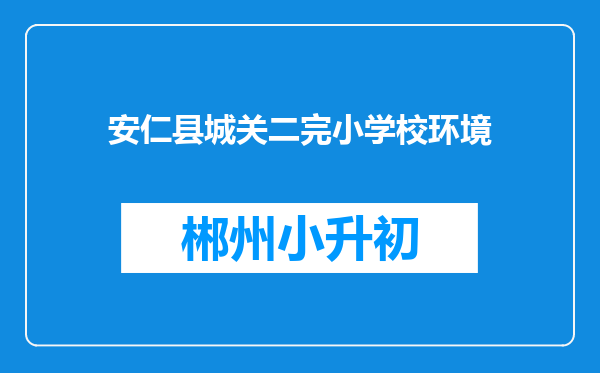 安仁县城关二完小学校环境