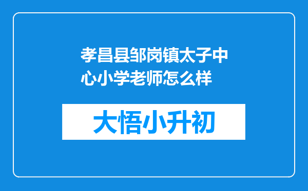 孝昌县邹岗镇太子中心小学老师怎么样