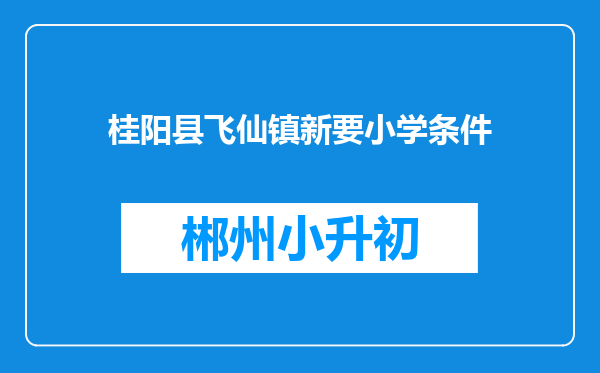 桂阳县飞仙镇新要小学条件