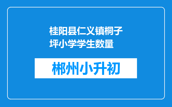 桂阳县仁义镇桐子坪小学学生数量