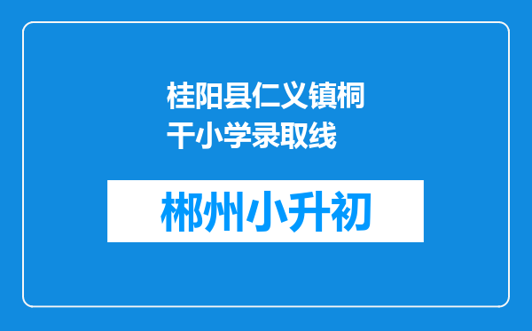 桂阳县仁义镇桐干小学录取线