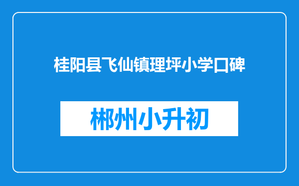 桂阳县飞仙镇理坪小学口碑