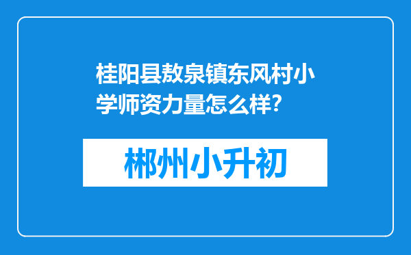 桂阳县敖泉镇东风村小学师资力量怎么样？