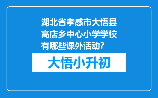 湖北省孝感市大悟县高店乡中心小学学校有哪些课外活动？